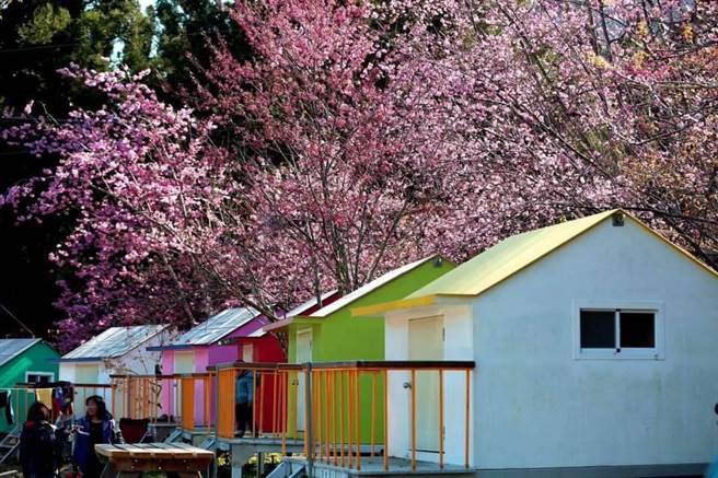 B区的彩绘屋仍将继续为露友服务。（武陵农场提供）