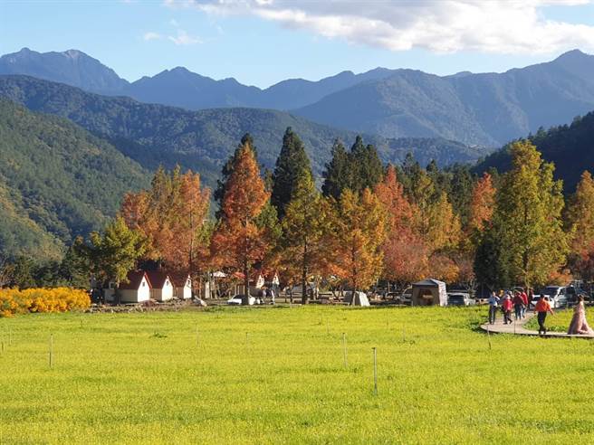 武陵农场将拆除B区空中帐篷，图为A1区景观屋。（武陵农场提供）