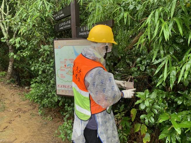 台中市觀旅局派員施放平腹小蜂防治荔枝椿象。（台中市觀旅局提供）