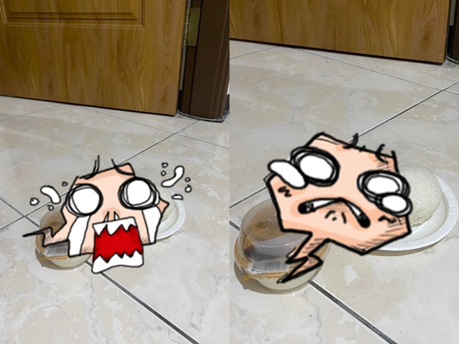 网友负责帮隔离中的室友准备餐点，某日因来不及，他在纸盘放了「1大球白饭」、腌萝卜、坚果等，并直接放在地板上，其他人笑说「不说以为是狗粮」。（翻摄自脸书「爆废公社」）