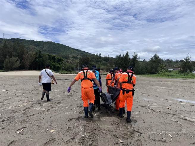 屏東車城鄉海口沙灘17日一早又出現1隻擱淺的小抹香鯨，幸海巡人員日前甫受「海洋保育類野生動物救援組織網初階教育訓練」，當下立即派上用場。（海巡提供／謝佳潾屏東傳真）