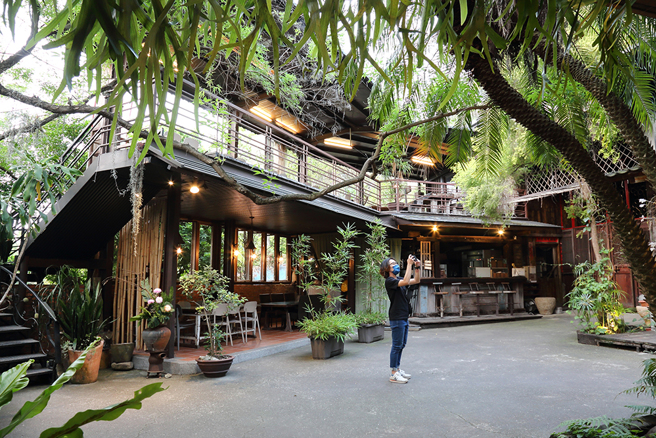 被植栽包围，犹如古装场景的中式典雅茶空间。(摄影/Carter)
