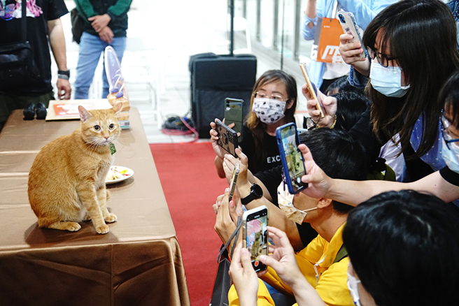 蜜柑可说是高捷最超人气的员工，每次执勤出任务，总会吸引过路行人和粉丝们的视线，拿起手机拍不停。(摄影/曾信耀)
