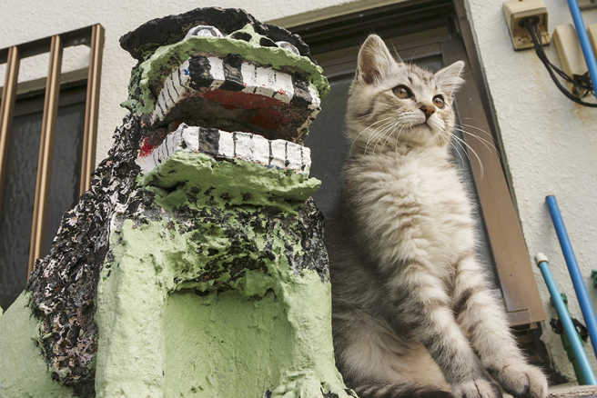 作品「风狮爷俩」一只小猫刚好和风狮爷摆出一样动作，彷佛陪伴风狮爷一起站岗，表情和模样十分讨喜。(图片提供/吴毅平)
