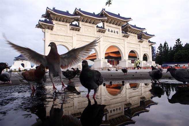 自由廣場開設車來速篩檢站，廣場上的鴿子絲毫感受不到病毒就在旁邊，自由自在的飛翔。（鄧博仁攝）