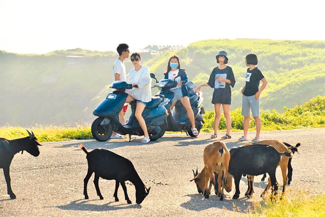 七美島至今仍「零確診」，民眾笑稱有「七美人」護島，讓住民至今免受病毒侵擾。（張茂雄攝）
