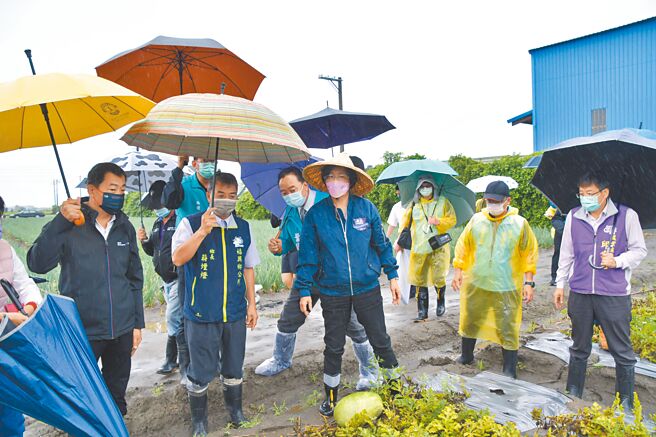 16日彰化县长王惠美到福兴乡瓜田勘灾，看着满目疮痍的瓜田替农民感到不舍。（彰化县政府提供／吴建辉彰化传真）