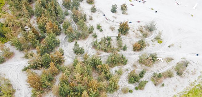 花蓮近海興起令人感到刺激的沙灘車遊憩活動，卻讓海岸生態與地貌遭受破壞。（花蓮縣議員楊華美服務處提供／羅亦晽花蓮傳真）