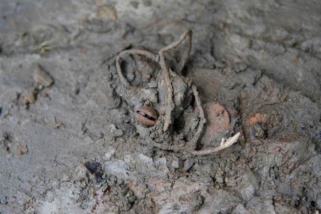 宜兰大学自5月10日起陆续发现3处墓葬（如图）、3具人骨，及俗称金鲤鱼的陪葬鱼形金属编物、琉璃管珠、铜铃、铜环等文化遗物。（宜兰大学提供／吴佩蓉宜兰传真）