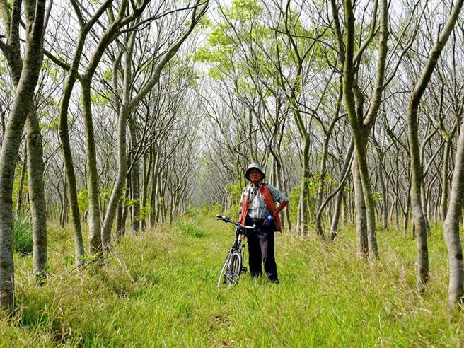 退休大学教授陈永进，把留学英国的浪漫留给家乡，带领更多人认识雾峰之美。（陈永进提供／卢金足台中传真）
