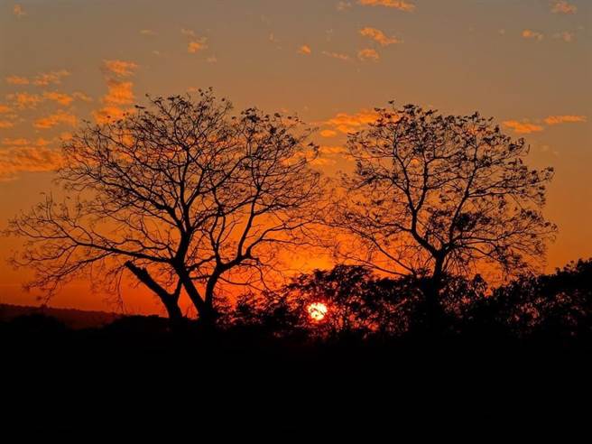 雾峰观光大使陈永进也是摄影高手，捕捉乌溪河畔的夕阳美照，发挥行销观光最佳「影」响力。（陈永进提供／卢金足台中传真）