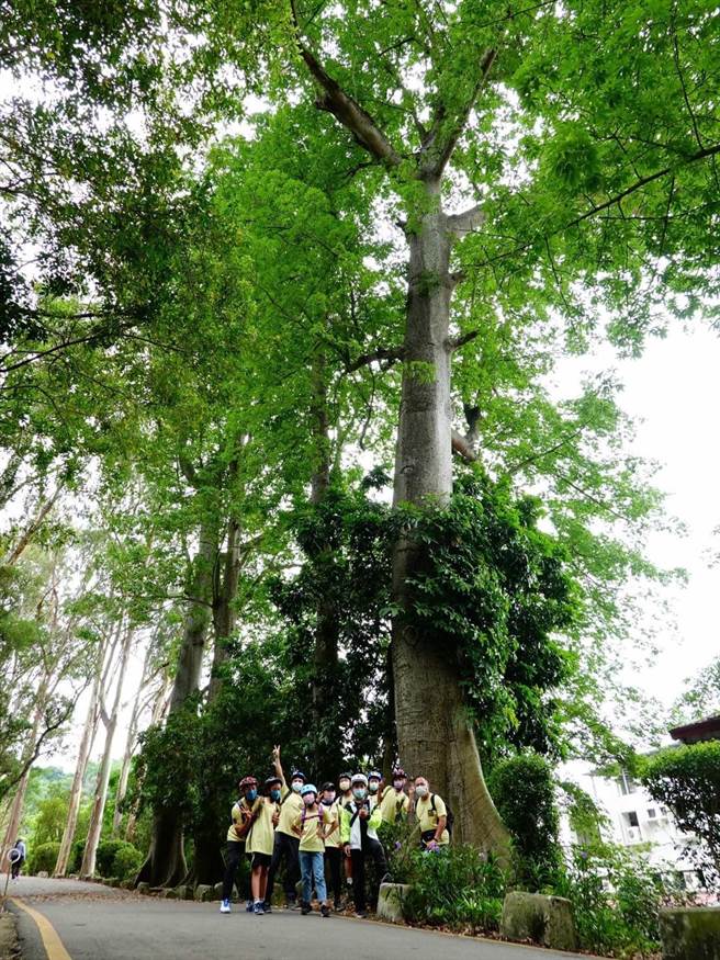 雾峰观光大使陈永进从大学教职退休后，投入地方观光导览，让更多人认识雾峰风情。（陈永进提供／卢金足台中传真）