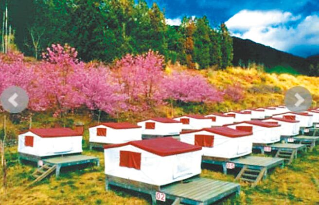 武陵農場39頂空中帳篷6月將拆除，還地於林並作為臨時停車場。（武陵農場提供／陳淑娥台中傳真）