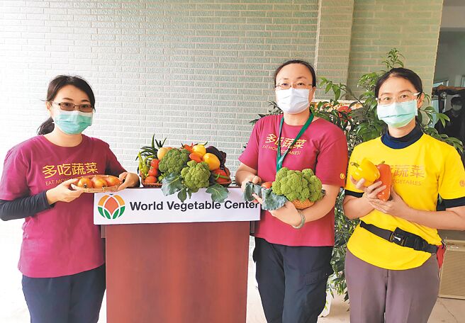亚蔬世界蔬菜中心17日举行蔬菜育种研究交流与田间观摩会，展示番茄和番椒、青花菜等多个品系作物。（刘秀芬摄）