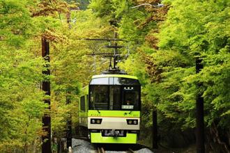 睽違3年！叡山電車「綠楓葉隧道緩緩前行」夏季再登場
