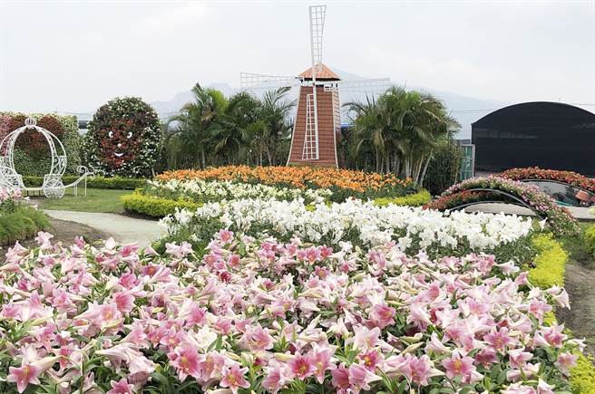 中社观光花市高达8公顷花海，一年四季都有不同时节的花卉缤纷绽放。（陈世宗摄）