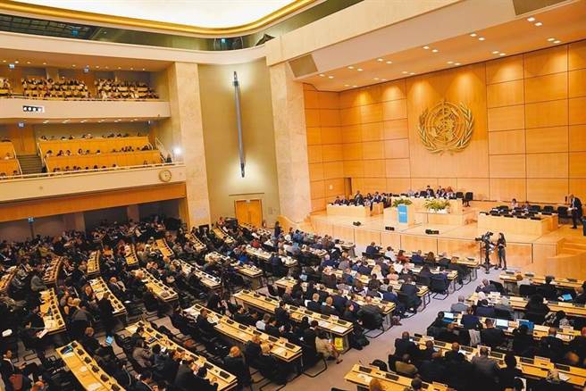 图为第72届世界卫生大会在瑞士日内瓦万国宫开幕。（中新社）