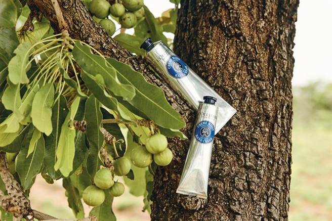 欧舒丹乳油木护手霜情境照。（欧舒丹提供）