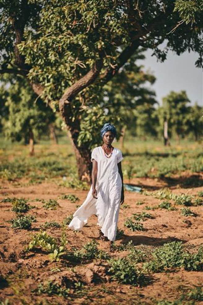 欧舒丹支持西非妇女经济独立自主_打造永续发展的乳油木公平交易供应链。（欧舒丹提供）