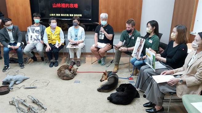 台灣動物保護行政監督聯盟、台灣愛克特動物重生救援協會與跨黨派立委陳椒華、高嘉瑜、洪孟楷與蔡壁如今（20日）舉行聯合舉行記者會，呼籲修法終止違法殘害野生動物獵具。（主辦單位提供）