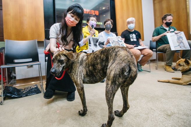 台灣動物保護行政監督聯盟、台灣愛克特動物重生救援協會與跨黨派高嘉瑜(左一)、立委洪孟楷與蔡壁如（後右三）20日聯合舉行記者會，呼籲修法終止違法殘害野生動物獵具。(郭吉銓攝)