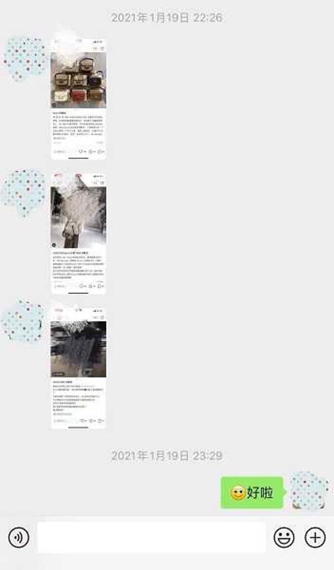 文女經常向曾男表示想要名牌包。（圖／翻攝自極目新聞）
