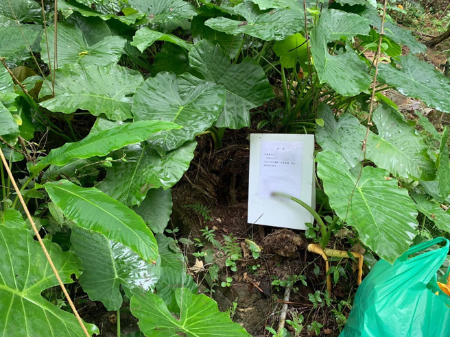 信義房屋中興民權店店長洪健元經地主同意後，在無主墓附近張貼遷葬公告。（洪健元提供）