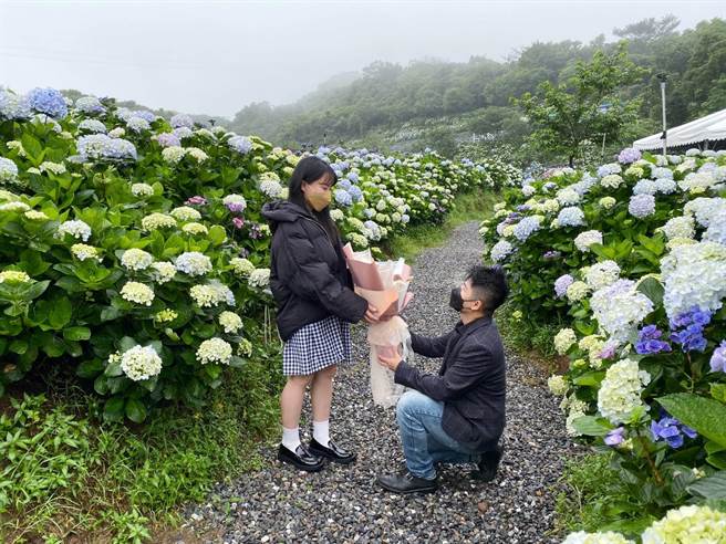 万里绣球花季20日在高家绣球花园举办「520大声说 绣出你的爱」活动，鼓励情侣、夫妻对另一伴大声说出我爱你。（万里区公所提供）