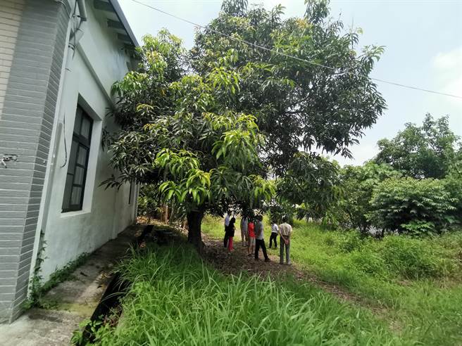 台南市大内区二溪活动中心旁杂草空地已近20年没人整理。（刘秀芬摄）