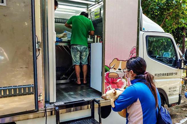 新竹县家畜疾病防治所为防范狂犬病，展开免费下乡犬猫绝育活动，26和27日率先在关西镇公所前开跑。（罗浚滨摄）