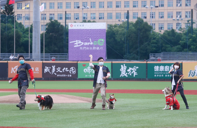 味全龙「汪汪萌宠日」。（陈怡诚摄）