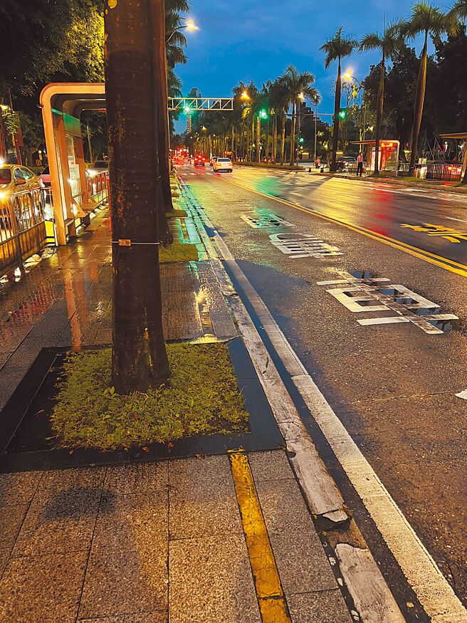 台北市議員潘懷宗質疑公車專用道坑洞積水多，平均每條1年補10次。（潘懷宗提供／楊亞璇台北傳真）