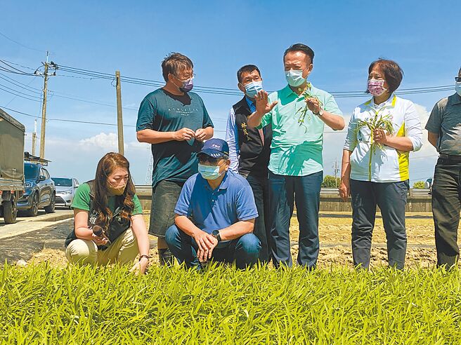 立委陈明文（前排左二）接受农民陈情，邀请相关单位前往嘉义县新港乡勘查空心菜疑似因雨受害的状况。（张亦惠摄）