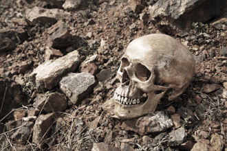 河邊撿到頭骨碎片急報警 法醫鑑定竟是8000年前祖先
