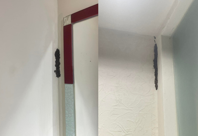 不少人建议女子最好尽快搬家，否则健康很容易出问题。(图/翻摄自爆怨公社)