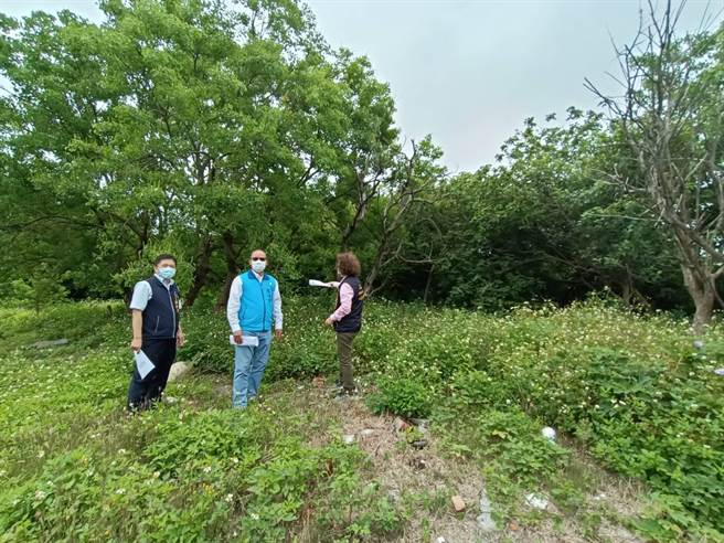 清水区近万平方公尺的国有土地迟未开发，任凭草丛生相当可惜。（市议长张清照服务处提供）