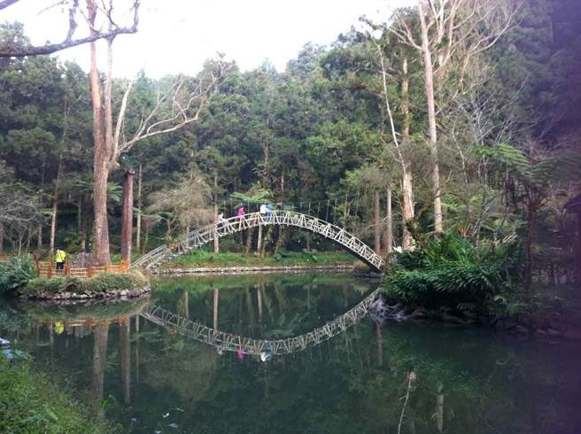 溪头线是台湾好行的热门路线(摘自台湾好行官网)