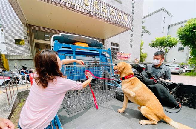「廖老大」委请嘉义的人友人帮忙带大黄到台中的新家。(林佩如提供∕吕妍庭嘉义传真）