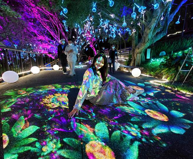 为期9天的大古山野百合花季「光合派对」，在假日期间吸引不少民眾上山赏灯。民眾坐在互动式投影的画面上，手一挥动就有蝴蝶飞舞，搭配缤纷绚丽的灯饰，仿佛进入电影「阿凡达」的奇幻世界。（黄世麒摄）