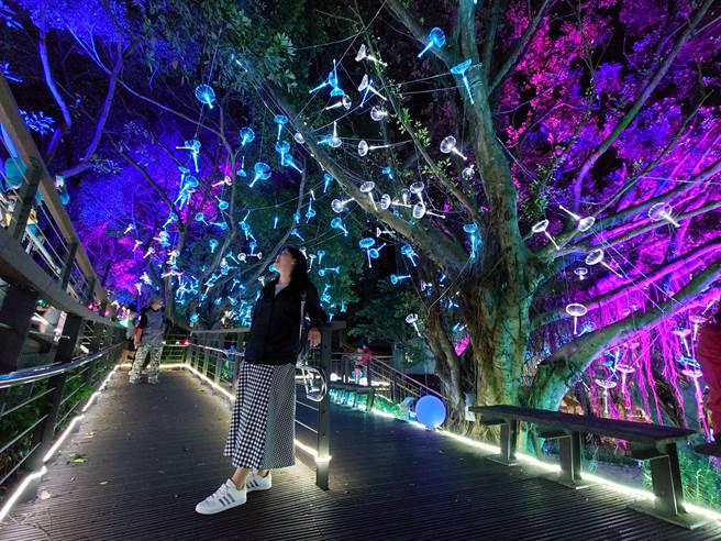 为期9天的大古山野百合花季「光合派对」，在假日期间吸引不少民眾上山赏灯。「陆地的蓝眼泪」与「蒲公英的誓约」灯饰，让人彷佛置身电影「阿凡达」的奇幻场景。（黄世麒摄）