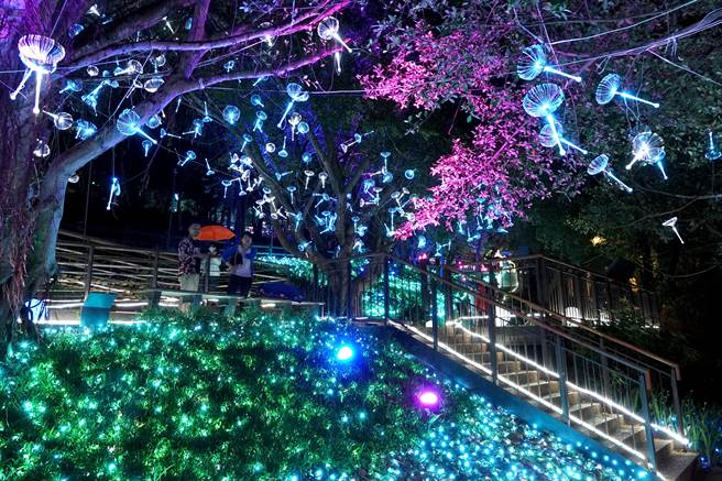 为期9天的大古山野百合花季「光合派对」，在假日期间吸引不少民眾上山赏灯。「陆地的蓝眼泪」与「蒲公英的誓约」灯饰，让人彷佛置身电影「阿凡达」的奇幻场景。（黄世麒摄）