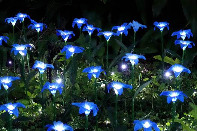 为期9天的大古山野百合花季「光合派对」，在假日期间吸引不少民眾上山赏灯。主办单位摆上数量眾多的百合花灯饰，让现场呈现科幻的场景。（黄世麒摄）