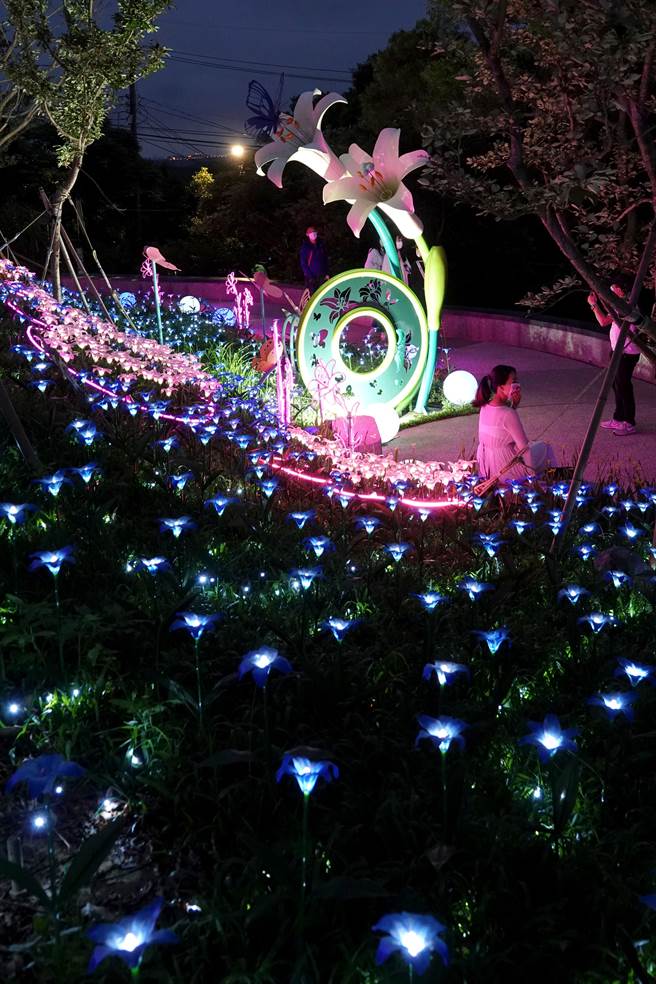 为期9天的大古山野百合花季「光合派对」，在假日期间吸引不少民眾上山赏灯。「星光飞舞－百合仙境」灯饰区搭配炫丽的灯光，成为民眾拍照打卡留念的热点。（黄世麒摄）