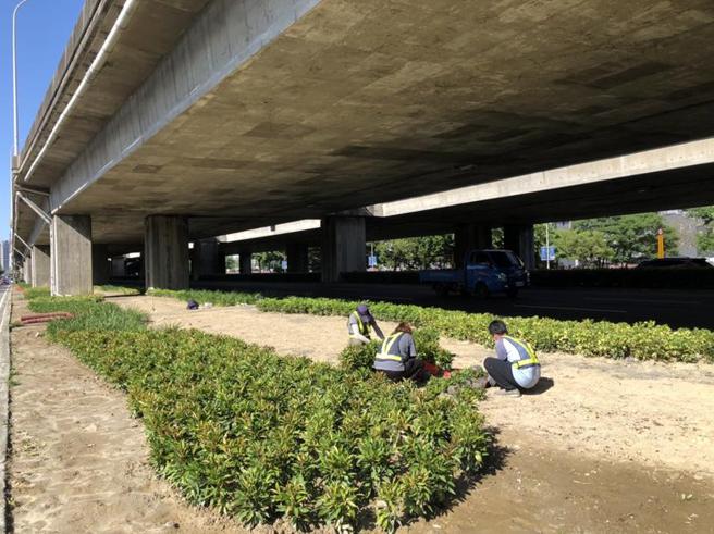 （台中市建设局选定高架道路桥下，并与台积电合作办理绿美化工程。图／台中市政府提供）