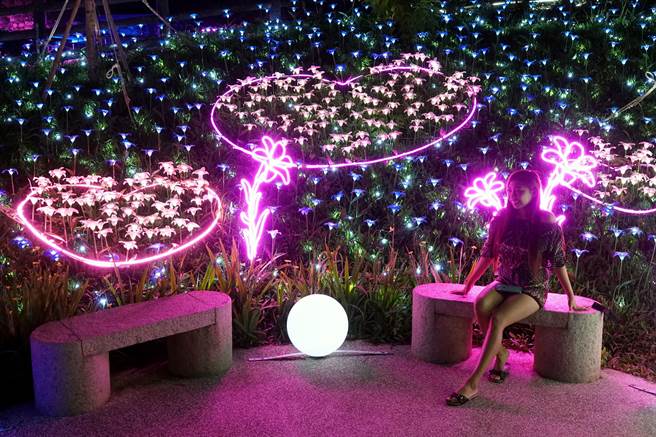 为期9天的大古山野百合花季「光合派对」，在假日期间吸引不少民眾上山赏灯。「星光飞舞－百合仙境」灯饰区搭配炫丽的灯光，成为民眾拍照打卡留念的热点。（黄世麒摄）