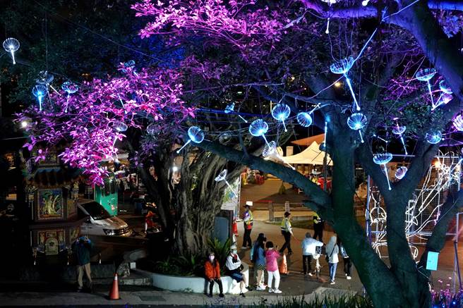 为期9天的大古山野百合花季「光合派对」，在假日期间吸引不少民眾上山赏灯。（黄世麒摄）