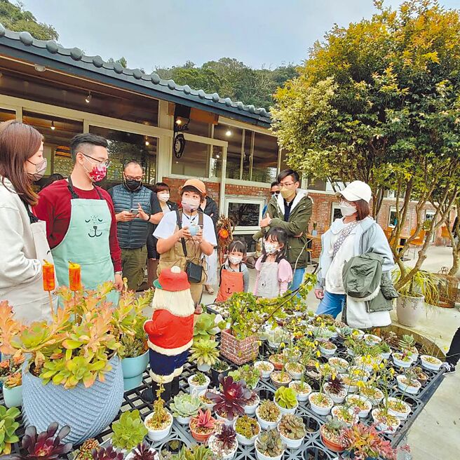 三和青创基地有各式多肉盆栽，看了相当疗癒。（三和青创基地提供）