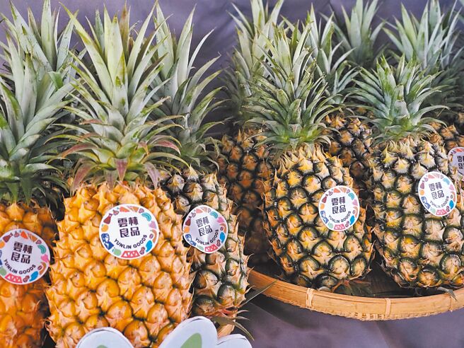 雲林縣古坑鄉、斗六市、林內鄉的鳳梨產量占全台7％，雲林金鑽鳳梨十分出名。（周麗蘭攝）