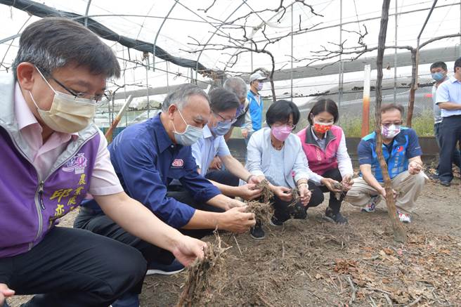 彰化縣政府今年祭出三大政策，包括贈送葡萄藤專用長效木質分解液、補助購買小型農機，另外還補助公所執行「抑制冬季濁水溪揚塵計畫」經費等。(縣府提供／吳建輝彰化傳真)
