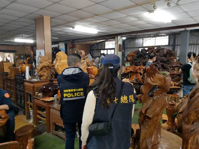 警方3月26日兵分多路在新北市、桃园市、新竹县等8处同步搜索，现场查扣贵重木台湾肖楠、扁柏、牛樟等角材重约7千公斤；另扣珍贵林木艺品87件、牛樟菇培养木72件，约4千公斤，合计重达约11公吨，市价高达千万元。（宜兰地检署提供／吴佩蓉宜兰传真）